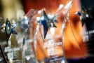 MEP Award 2010